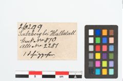 Etikett zu Bronzezwingenniet (NHMW-PRAE-026299)